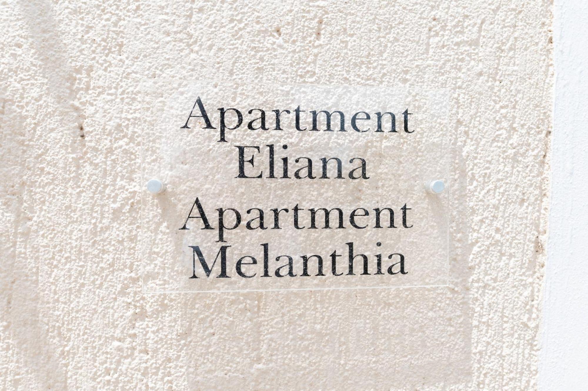 Vasilopoulos Residences - Apartments Eliana & Melanthia アルゴストリオン エクステリア 写真